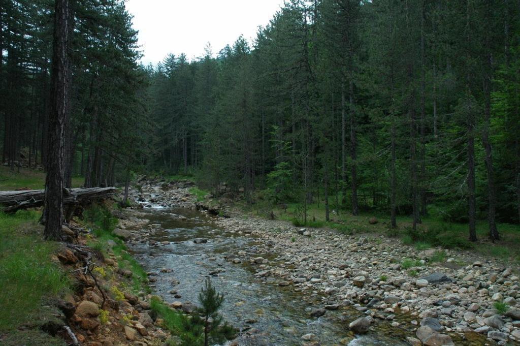 Kerasies Guesthouse Vovousa Exteriör bild